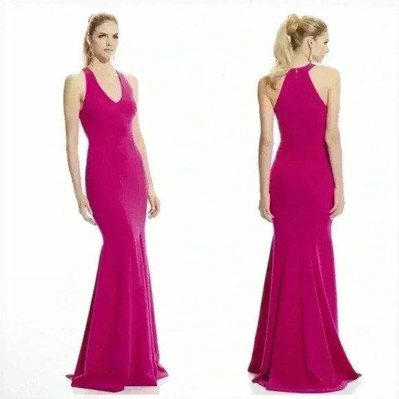 Theia Pink Maxi Dress - Picture 1 of 7